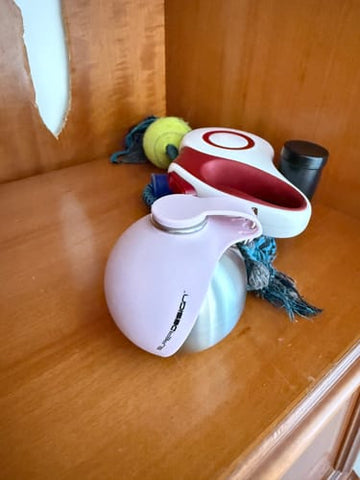 RCdDQv2lJ.jpg__PID:4aaed16d-4618-41de-977b-4c2d2cf194b2