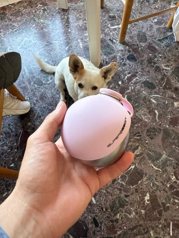 U8l2LEk4n.jpg__PID:91de577b-4c2d-4cf1-94b2-2b053687f11e