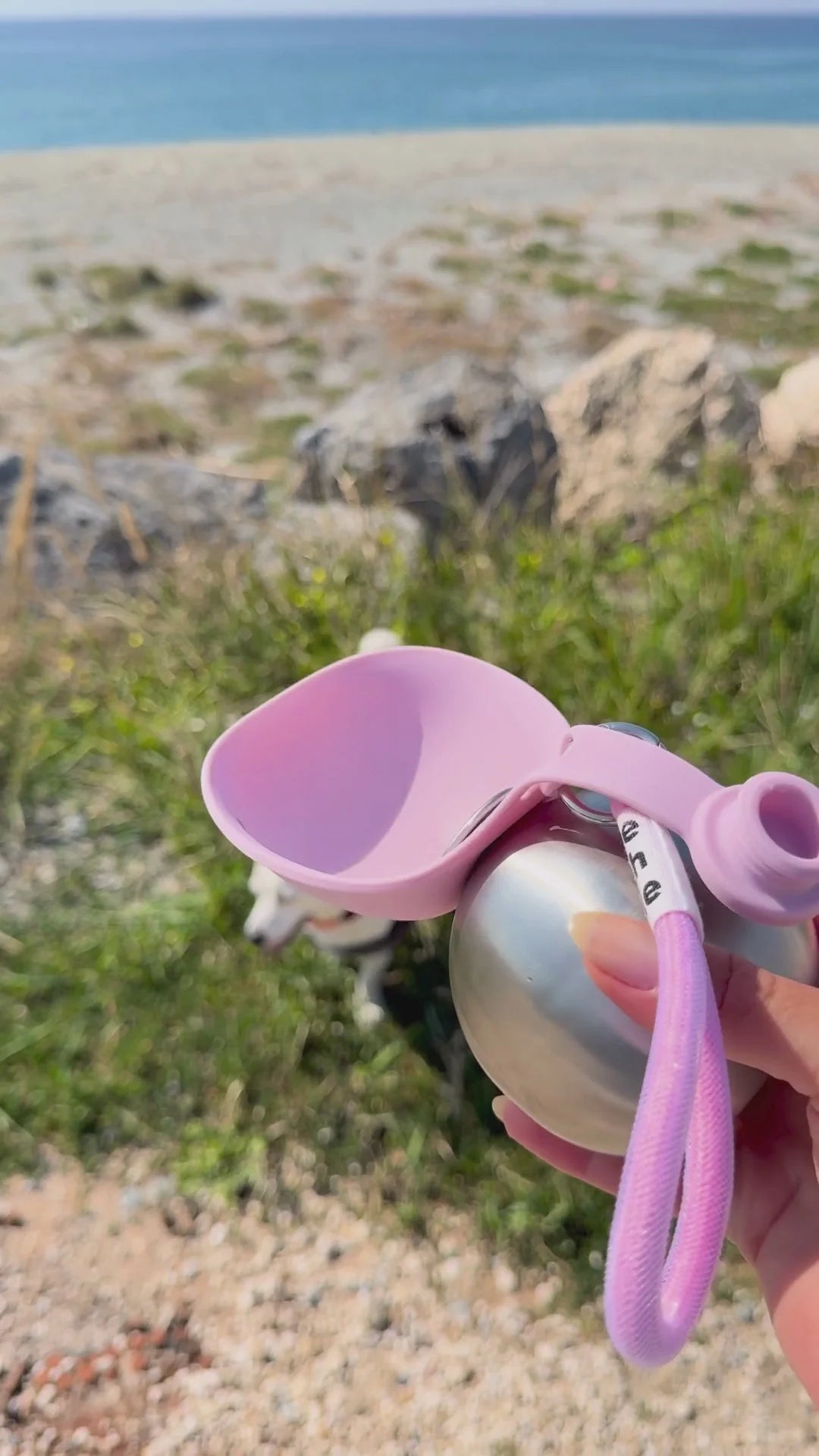 ac345425981c4c12b395dd754d26ef1e.thumbnail.0000000000.webp__PID:03f220be-27d9-4dfe-9f28-e499a0a91263