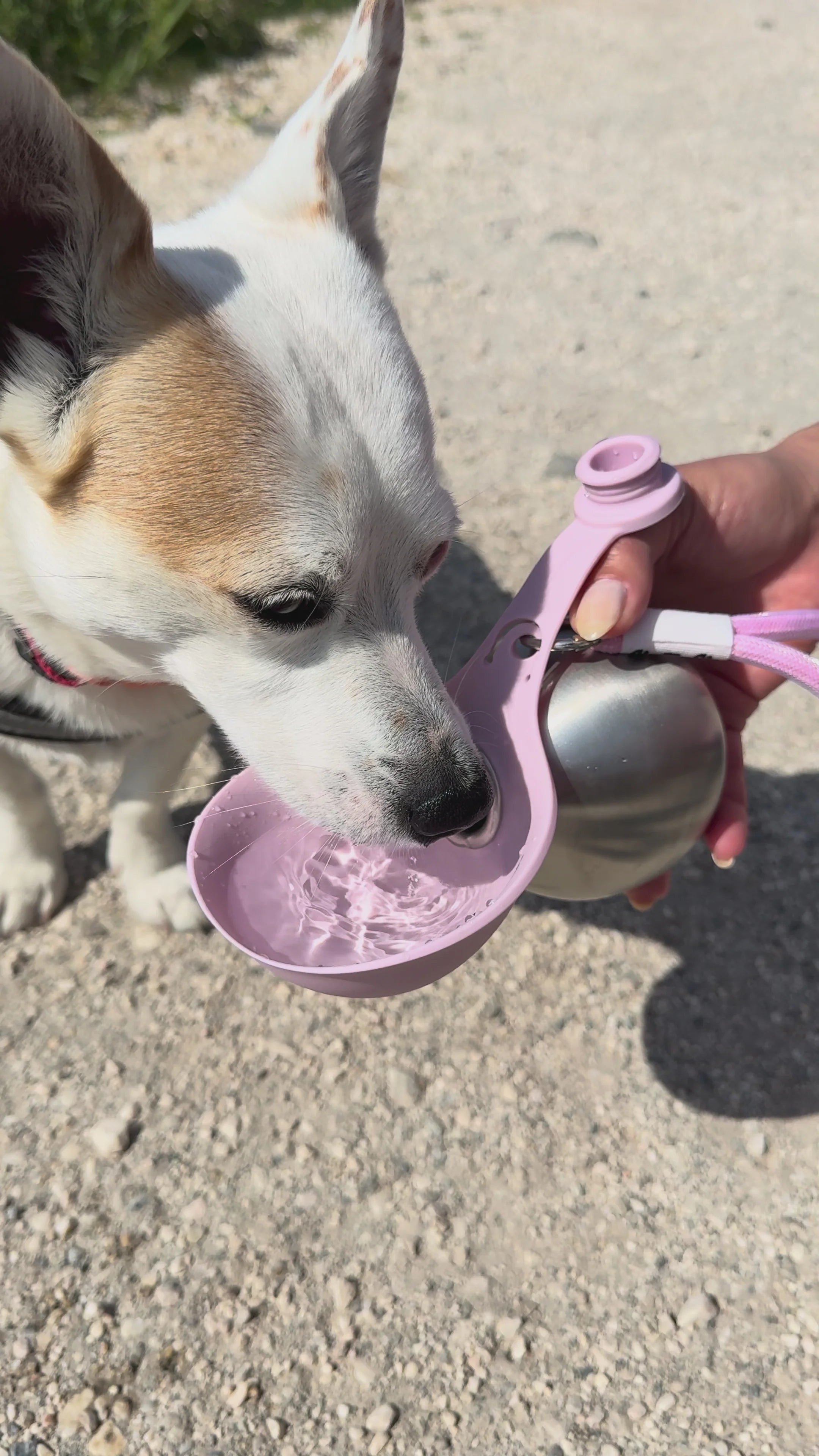 f9299e676e424303a59fc351e358c092.thumbnail.0000000000.webp__PID:821203f2-20be-47d9-bdfe-df28e499a0a9