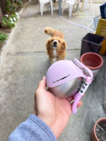 gK-K0ozm9.jpg__PID:d16d4618-91de-477b-8c2d-2cf194b22b05